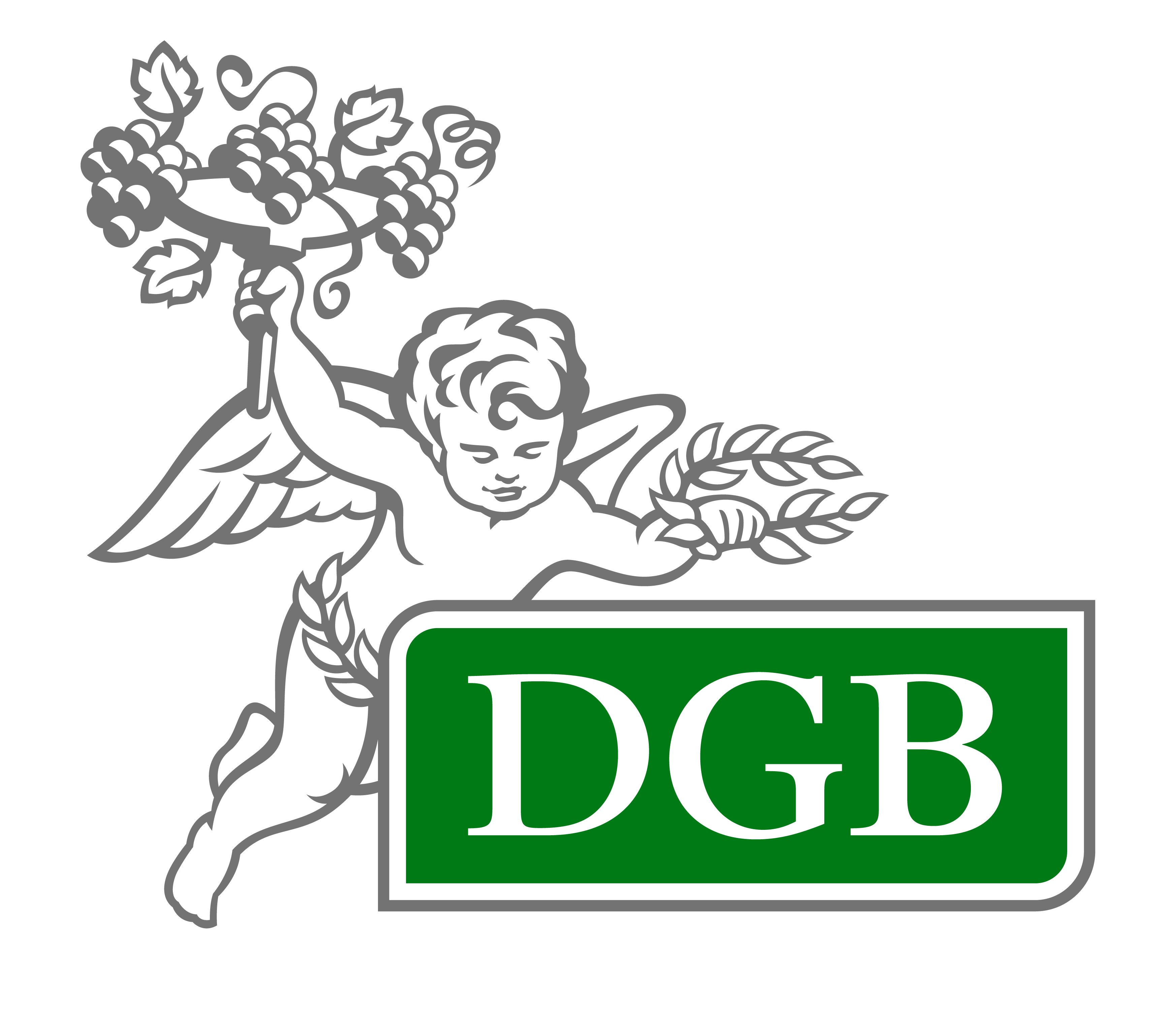 DGB South Africa